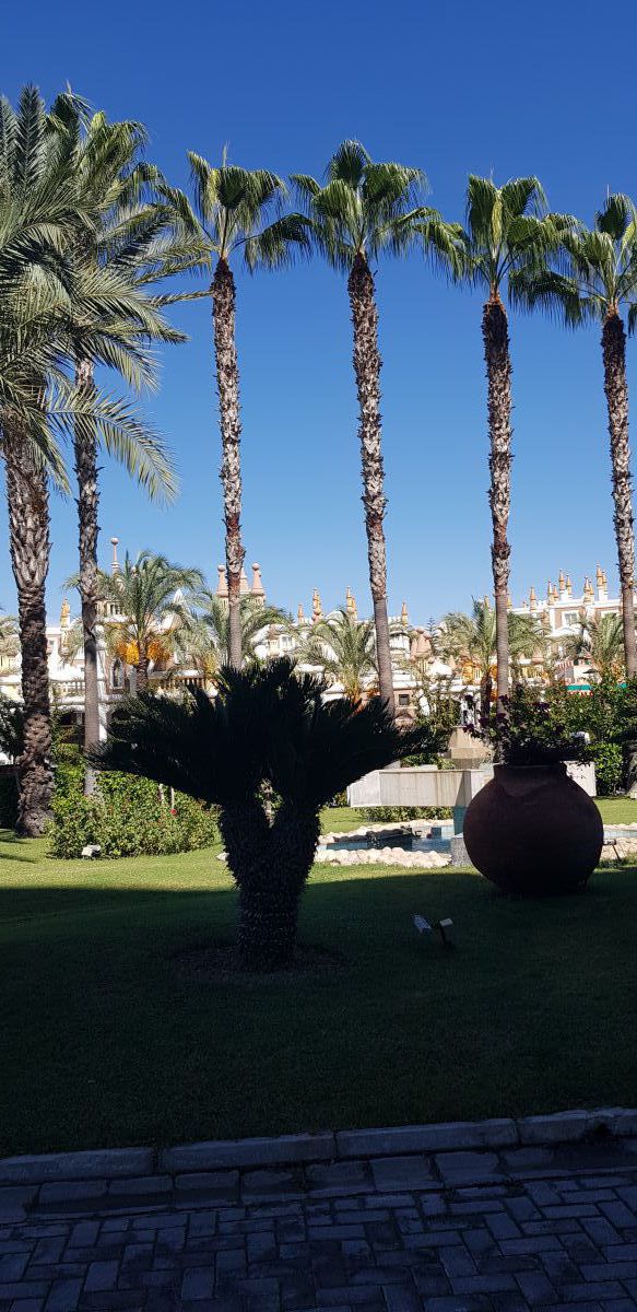 imagini hotel KAMELYA SIDE